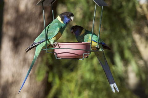 Kathys Place Bed And Breakfast - Accommodation Sydney 2