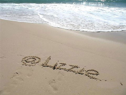 AtLIZZIE - Whitsundays Tourism 1