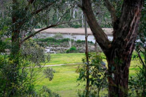 Brodribb River Rainforest Cabins Cabin 3 - Northern Rivers Accommodation 3