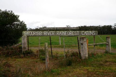 Brodribb River Rainforest Cabins Cabin 2 - Tweed Heads Accommodation 7