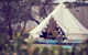 Grapevine Glamping - thumb 3