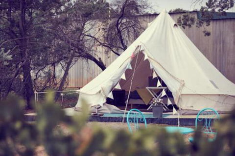 Grapevine Glamping - Sunshine Coast Guide 3