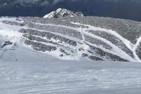 Winterbrook Chalet - Accommodation Australia 6