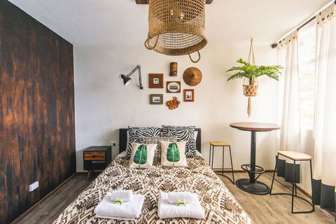 Manly Designer Studios - Accommodation Newcastle 1