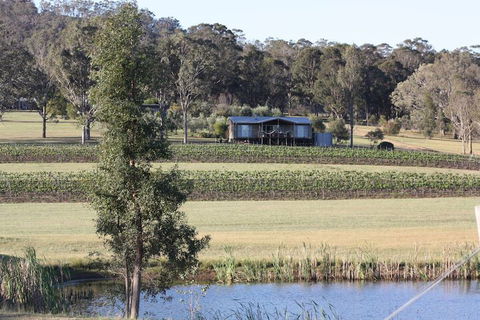Blackwattle Luxury Retreats - Accommodation Yamba 1