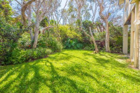 Ngungun Street 10 Dicky Beach - Wagga Wagga Accommodation 6