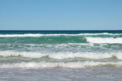 Apartment With Inground Pool - Wagga Wagga Accommodation 7