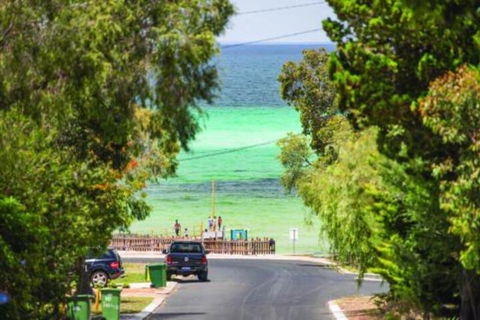 Opulent Oasis - Lightning Ridge Tourism 7