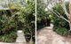 Oscars Garden - thumb 0