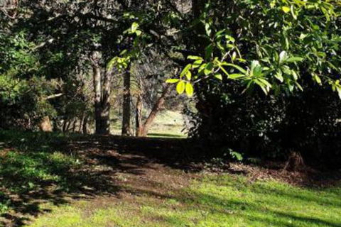 Redruth 2 Bedroom Cottage Situated In Wandiligong - Accommodation Yamba 4