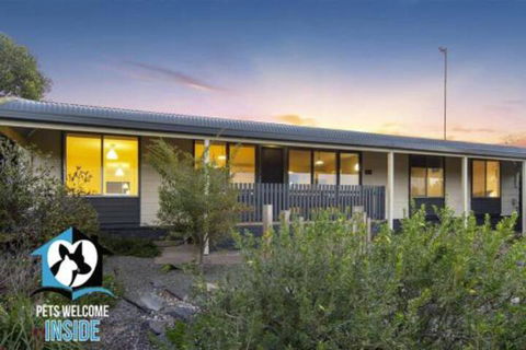 Retro Groovy Pad Pt Elliot - Holiday Jervis Bay 4