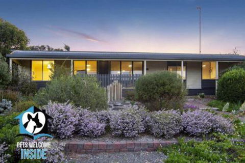 Retro Groovy Pad Pt Elliot - Holiday Jervis Bay 5