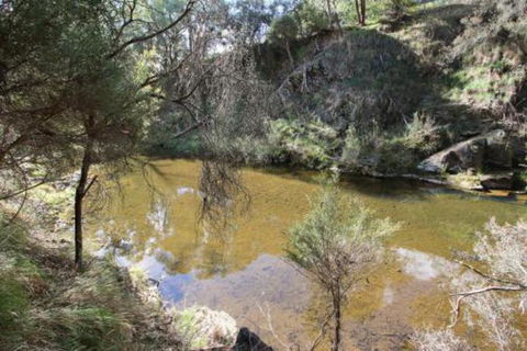 Alpine Streamside - Northern Rivers Accommodation 3