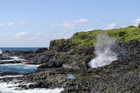 Seaview On Boanyo Ocean Views & Close To Beach - Accommodation Tasmania 5