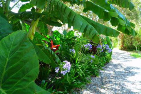 Mullaway Beach Holiday Cabins - Accommodation VIC 4