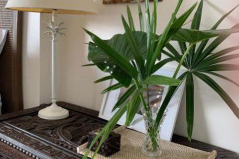Mullaway Beach Holiday Cabins - Accommodation VIC 3