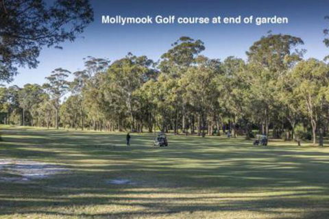 Clyde Studio 53 Mollymook - Accommodation Newcastle 5