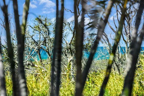 Nobs -1/44 Peregian Esplanade - Holiday Jervis Bay 1