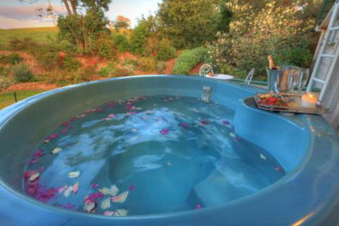 Maleny Homestead & Cottage - Yamba Accommodation 4