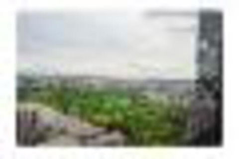 Cbd 2 Bed 1908 Apartment - Sunshine Coast Tourism 4