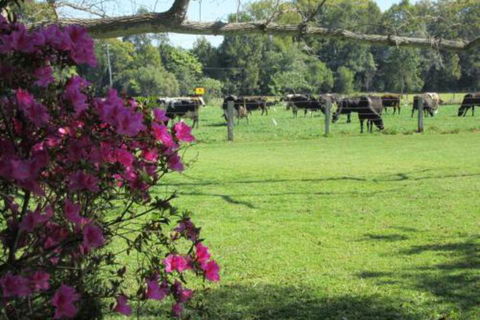 Greenfields - Tourism Bookings 2