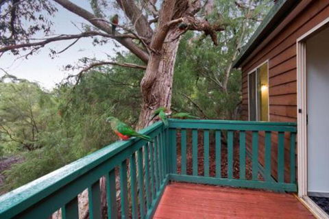 Hidden Valley Cabins - Accommodation Newcastle 6
