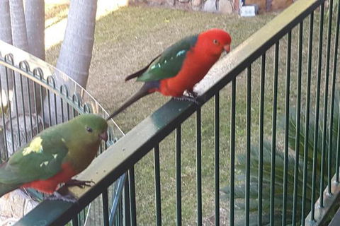 Serenity - Kingaroy Accommodation 5
