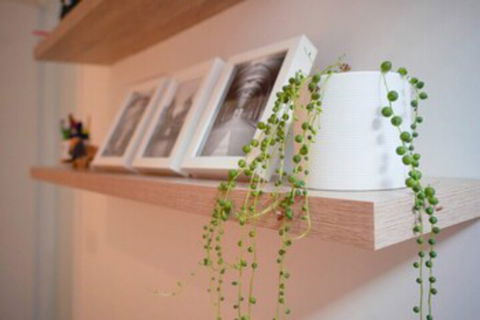 Trendy Modern 2BD Apartment Close To Beach & City - Sunshine Coast Guide 0