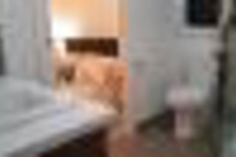 Tranquility - Northern Rivers Accommodation 2