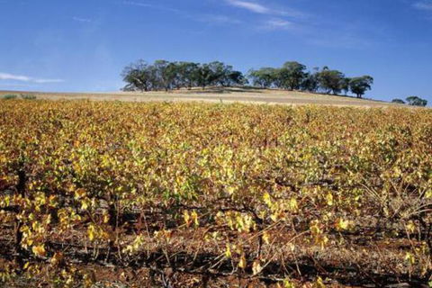 Lucys Cottage - Kingaroy Accommodation 7
