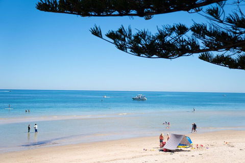 European Style House In The Garden Of Eden - Accommodation Redcliffe 7