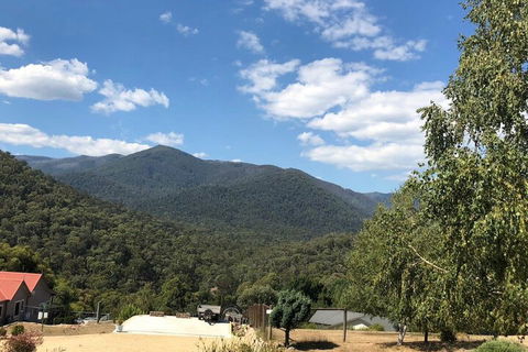 Alpine Stag Lodge Unit 2 - Northern Rivers Accommodation 7