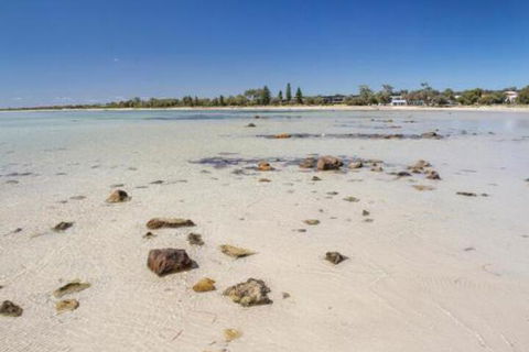 Bottlebrush - Lightning Ridge Tourism 4