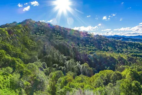 Summer Breeze - Accommodation Yamba 3