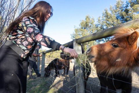 Jervis Bay Luxury Farm Escape - Holiday Melbourne 5