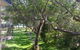 36 Bay Parklands 2 Gowrie Avenue Close To The Water With Pool & Spa & Tennis Court - thumb 3