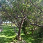 36 Bay Parklands 2 Gowrie Avenue Close To The Water With Pool & Spa & Tennis Court - Holiday Melbourne 0