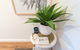 Oceanview Kiama Luxury Coastal Accommodation - thumb 2