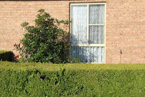 Motel 359 - Northern Rivers Accommodation 1