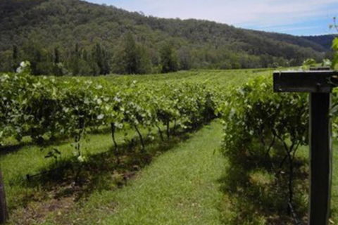 Cedar Creek Cottages - Accommodation Hamilton Island 2