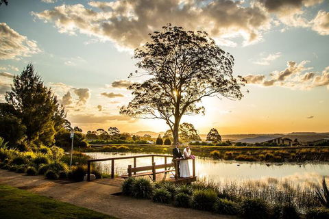 Homewood Cottages - Kawana Tourism 3