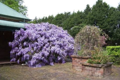 Heronswood House B & B - Northern Rivers Accommodation 2