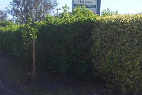 Glenndale Park Motel - Stayed 4