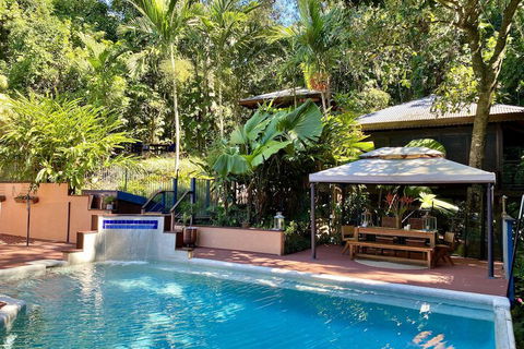 Cairns Rainforest Retreat - Tweed Heads Accommodation 3