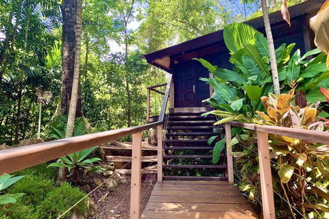 Cairns Rainforest Retreat - Tweed Heads Accommodation 1