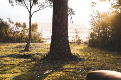 Seagrass On Sunset Bay - Hotel VIC 1