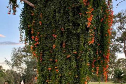 Amarina Farm Stay & Gardens - Cruises Travel 6
