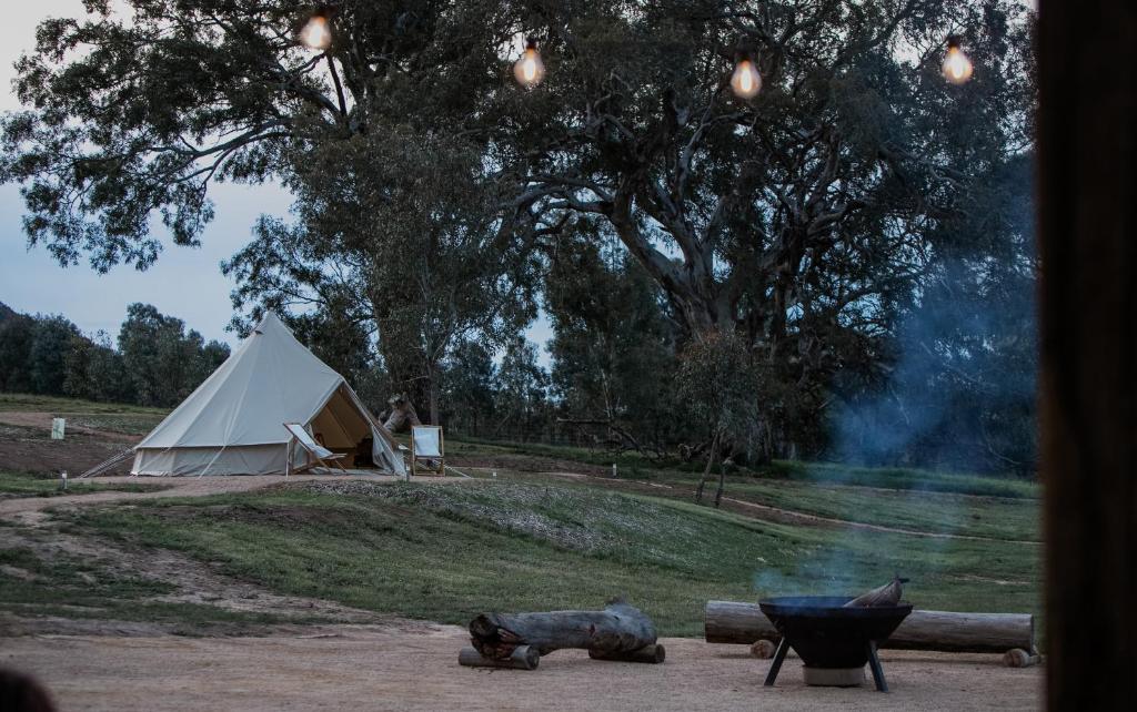 Mansfield Glamping - thumb 2