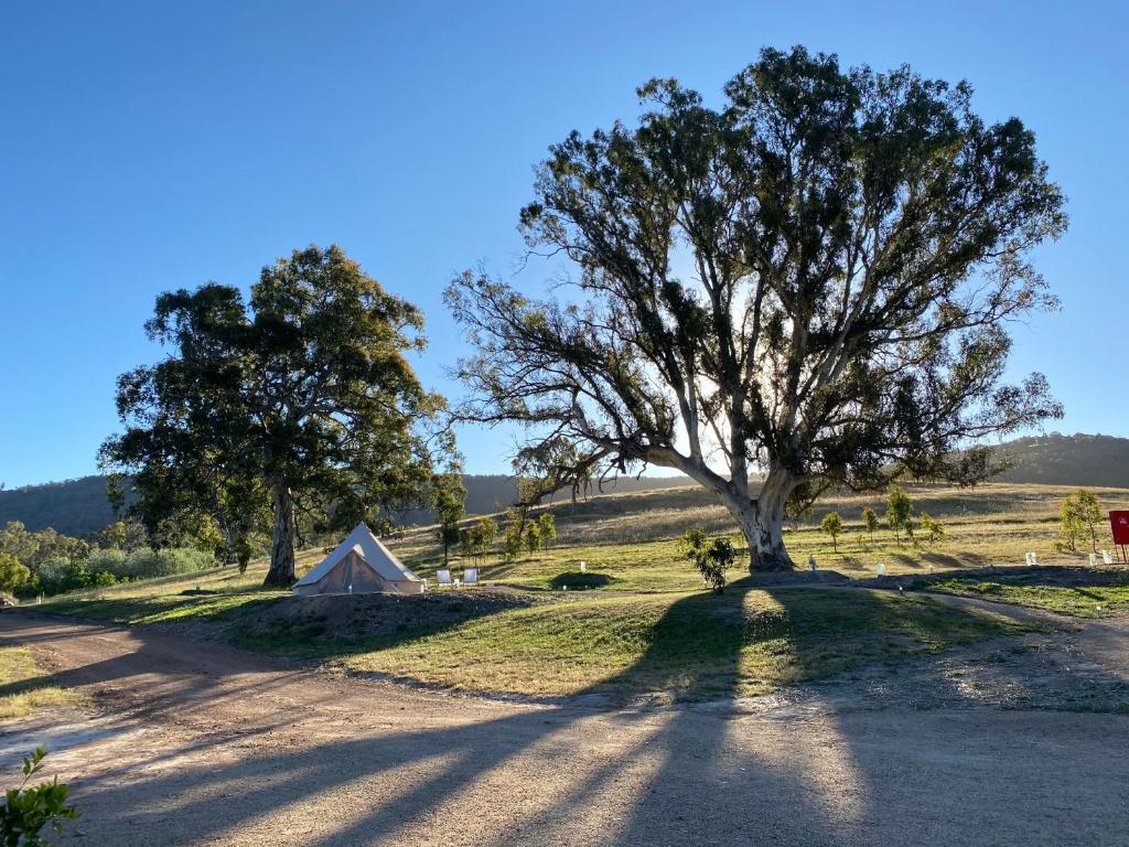 Mansfield Glamping - thumb 3