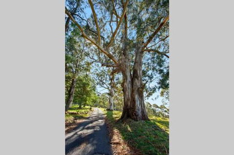 WOOLWAY - Byron Bay Accommodation 2